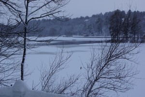 Ossipee Lake On A Snow Day  from Marina